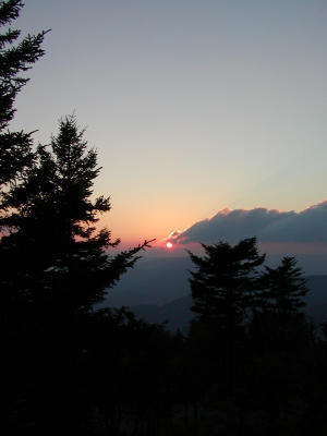 P9010006.JPG