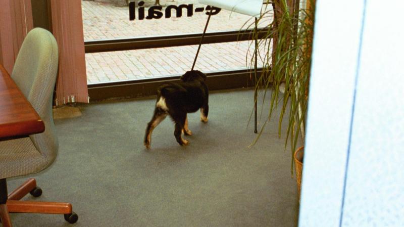 img002.JPG