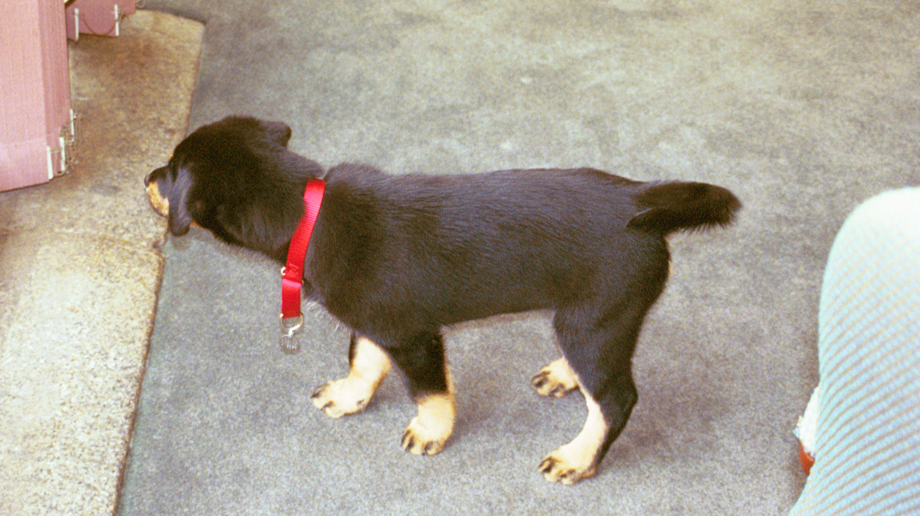 img014.JPG