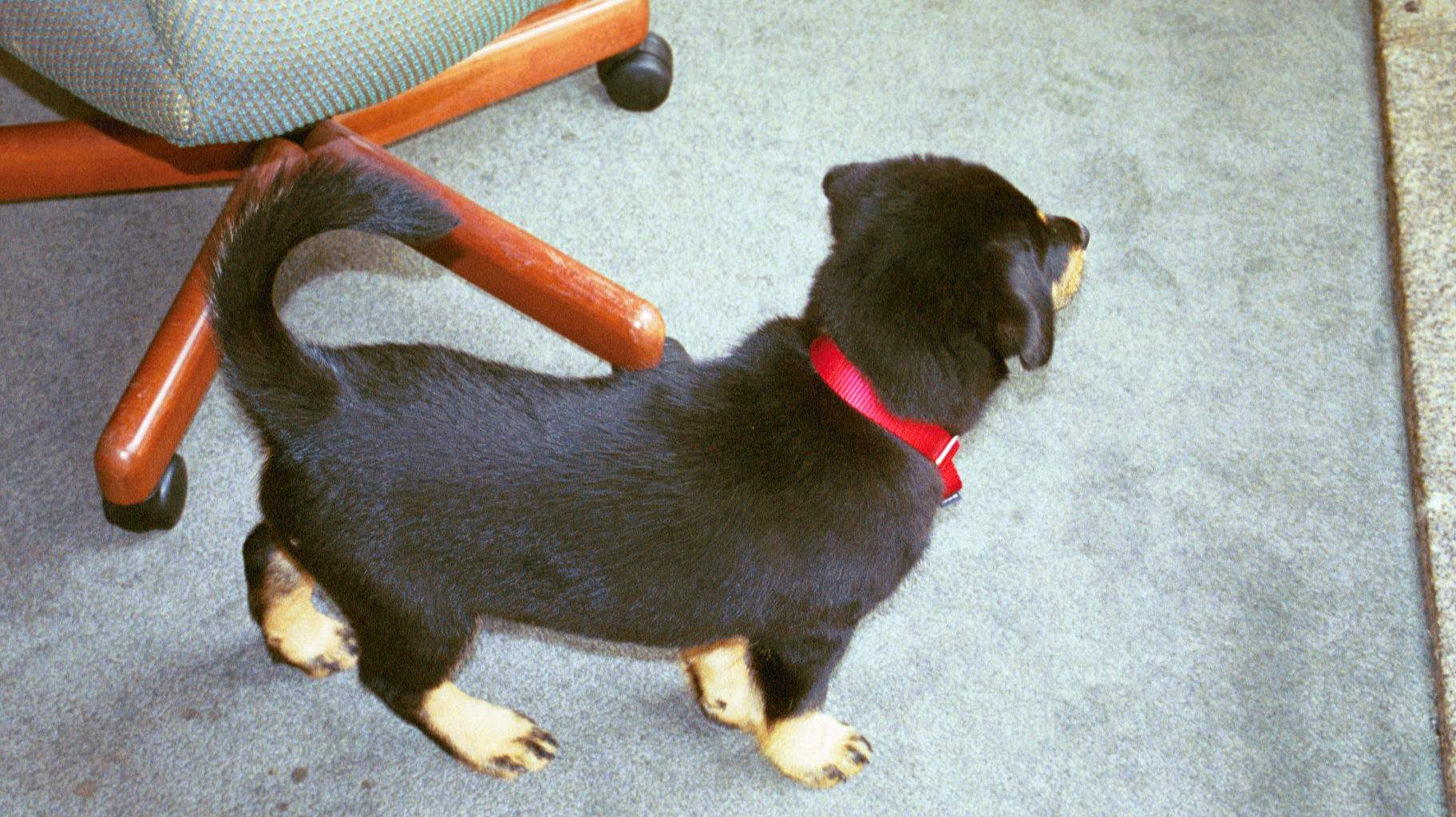 img015.JPG