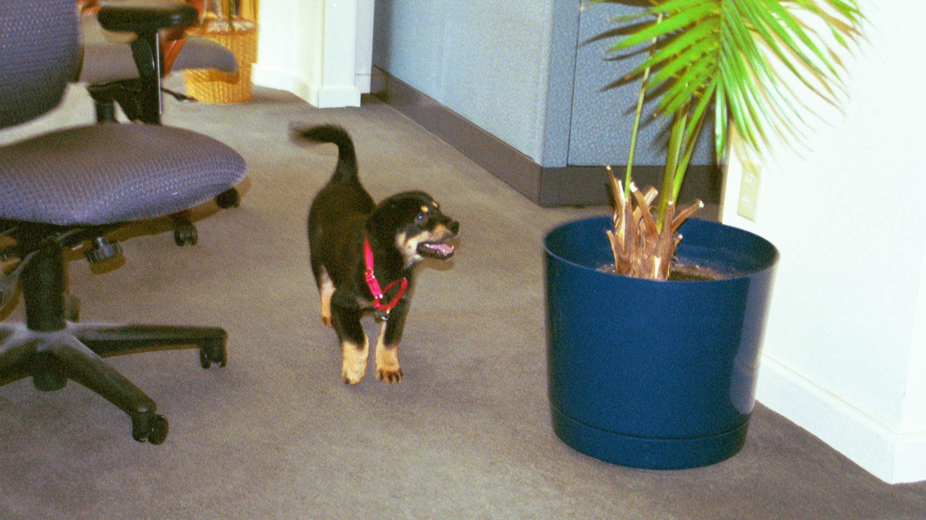 img019.JPG