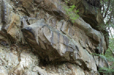 fishrock.gif