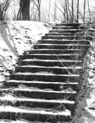 steps.jpg