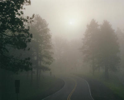 roadfog.jpg