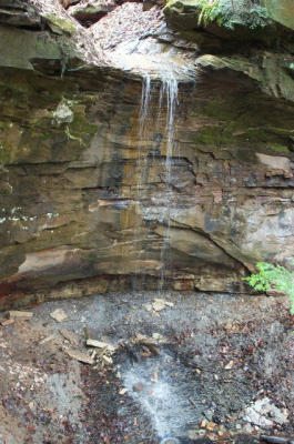 waterfall6.jpg