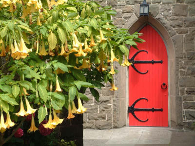 reddoor.jpg