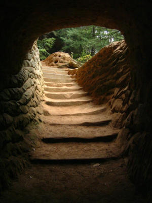 enter.jpg
