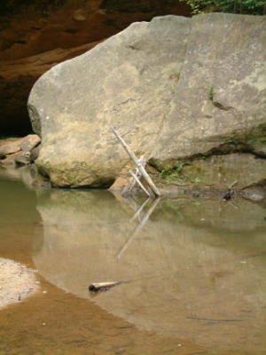 pond.jpg
