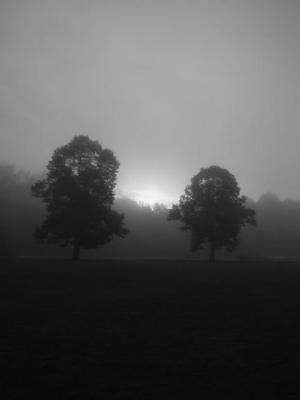 quite_early_one_morning