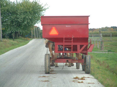 barns_and_farms