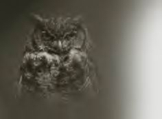 native_eyes