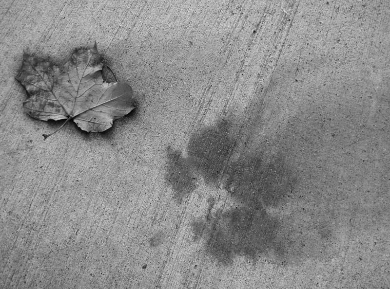 P9220015_bw.jpg