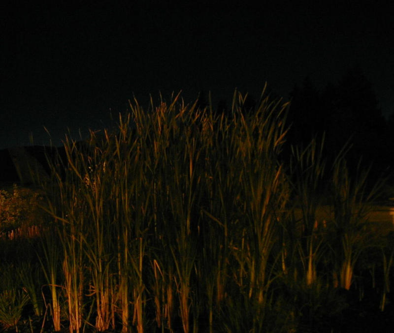 P9220056a.jpg