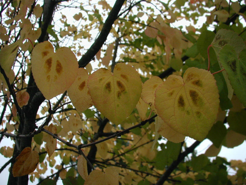 P1010177.jpg