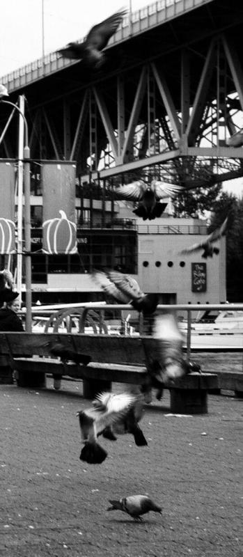 P1010215_bw.jpg