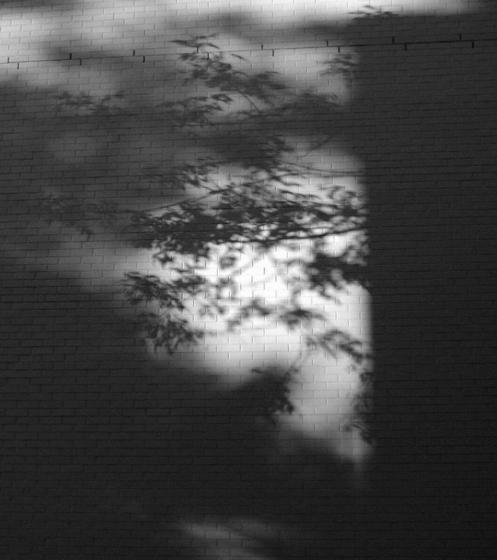 PA050009_bw.jpg