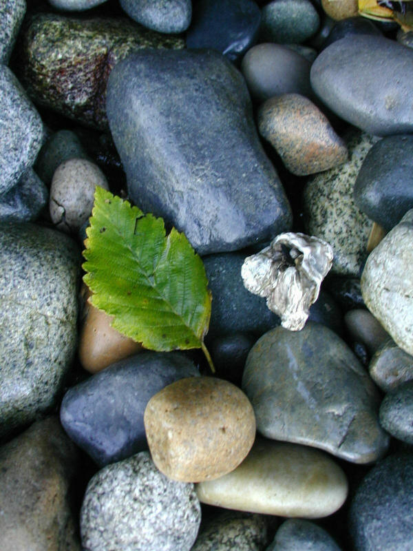PA050058.jpg