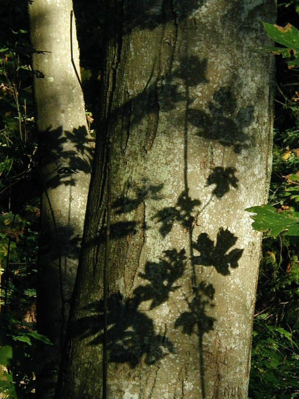 PA050108.jpg