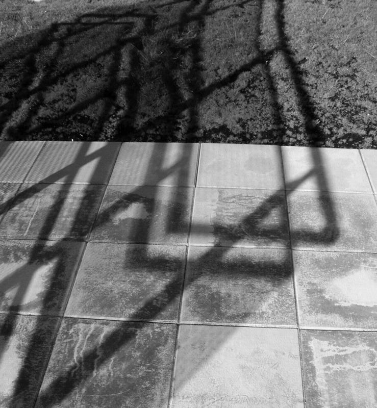 PA190029a.jpg