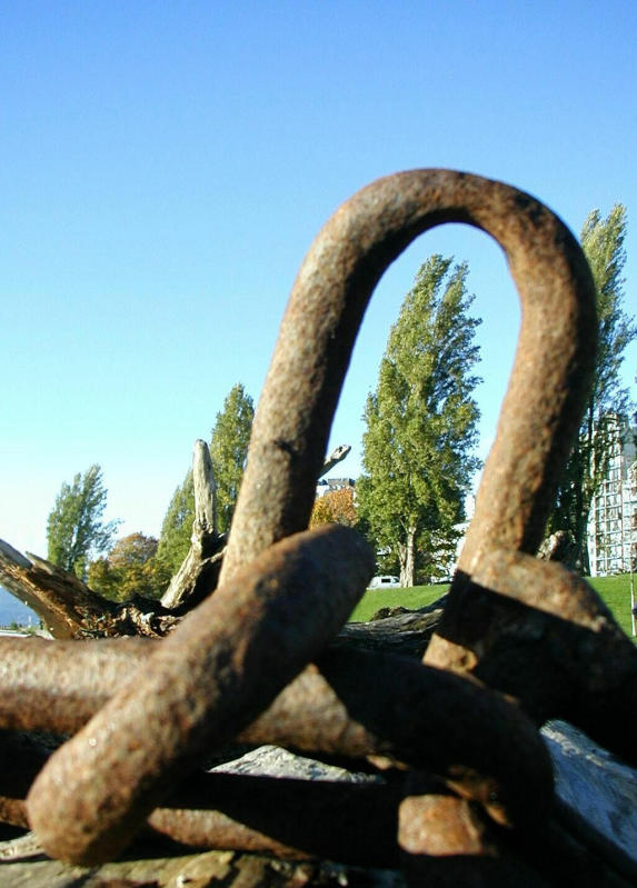 PA190078a.jpg