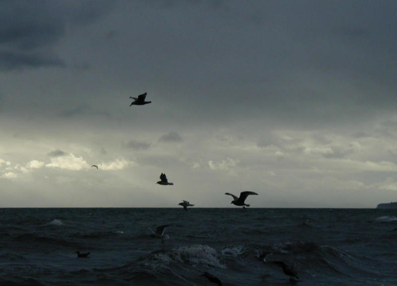 PC010030a.jpg