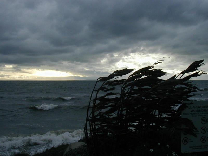 PC010078.jpg