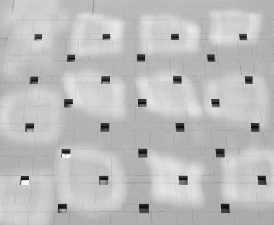 P9240056_bw.jpg