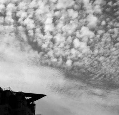 P9240130_bw.jpg