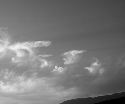 P9240132_bw.jpg