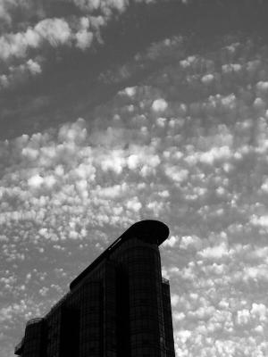 P9240144_bw.jpg