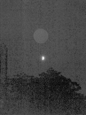 P9240162_bw.jpg