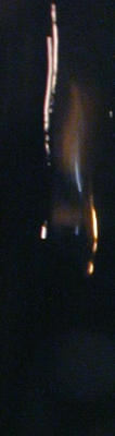 P9250039c.jpg