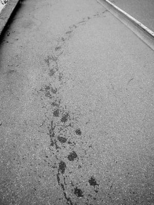 P9270069_bw.jpg