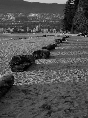 P9270075_bw.jpg