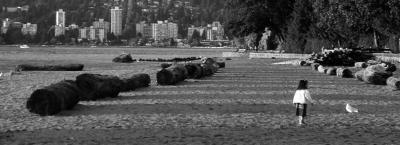 P9270077_bw.jpg