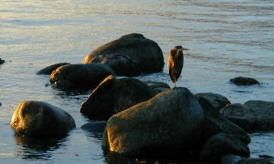 P9270110a.jpg