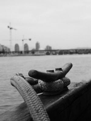 P1010218_bw.jpg