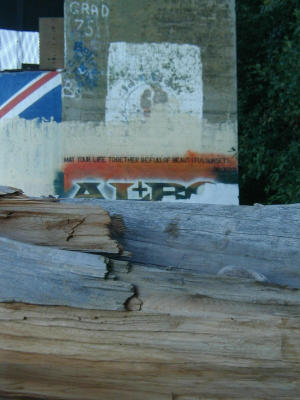 PA050051.jpg