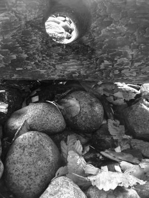 PA050059_bw.jpg