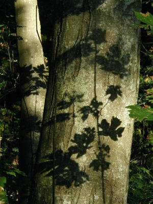 PA050108.jpg