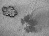 P9220015_bw.jpg