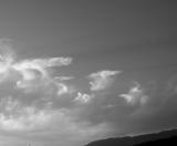 P9240132_bw.jpg