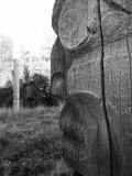 PA050027_bw.jpg
