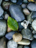 PA050058.jpg