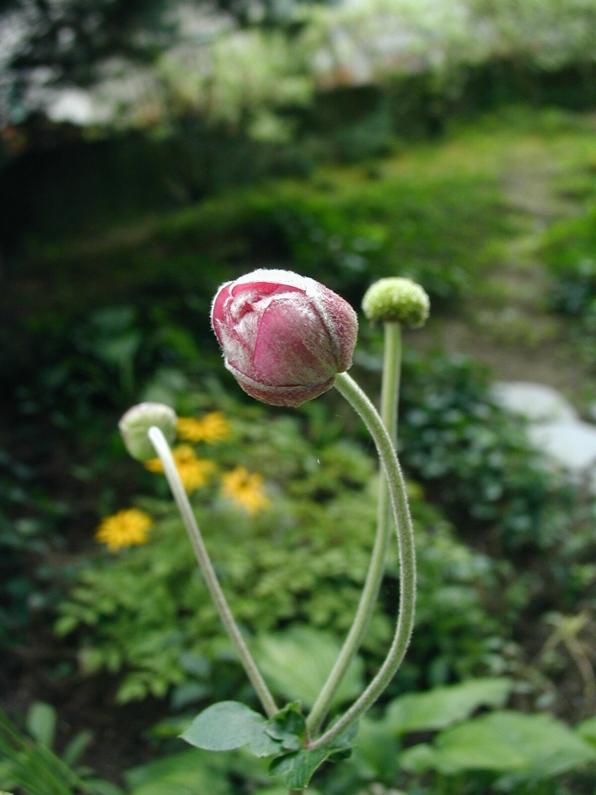 P9180027.JPG
