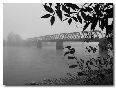 Misty Footbridge.jpg