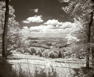 Price Lake through trees