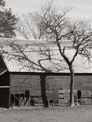 Barn and Shadow