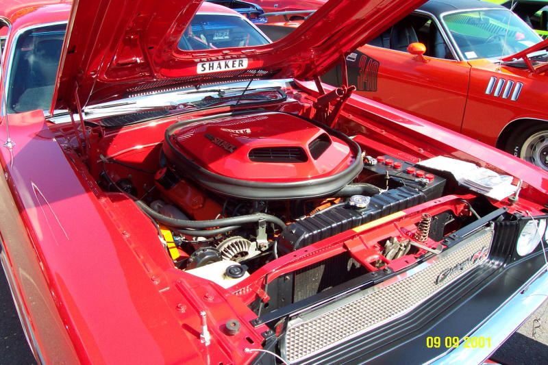 Challenger Red Shaker