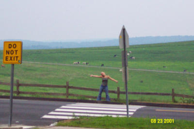 Britt & Cows 2.JPG